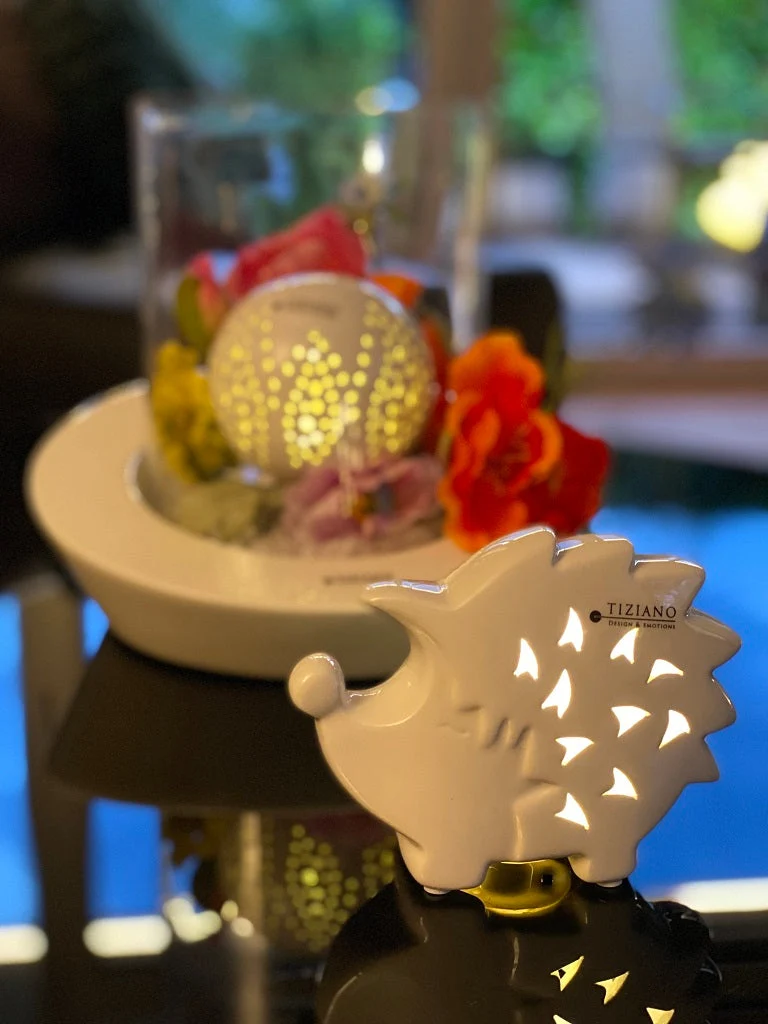 Geschenkbox LED Igel Salimbo