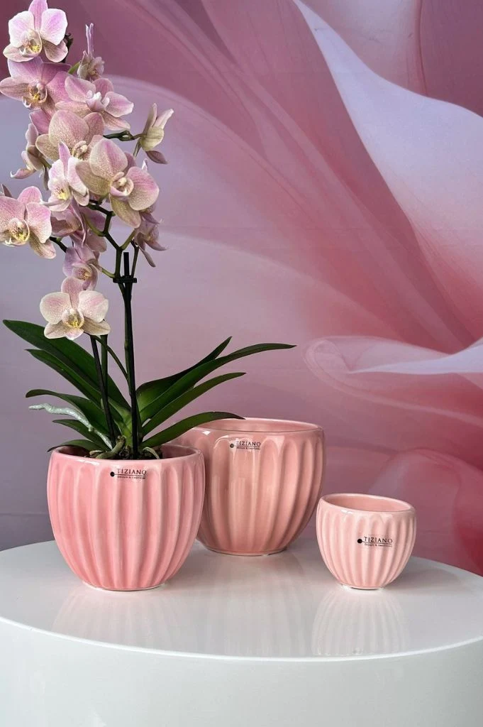 3er Set Kübel Prisma 8-14cm hell+dunkelrosa