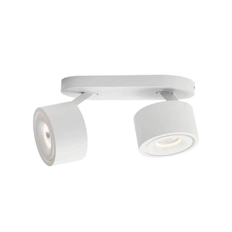 Deckenstrahler Specter 2-flammig