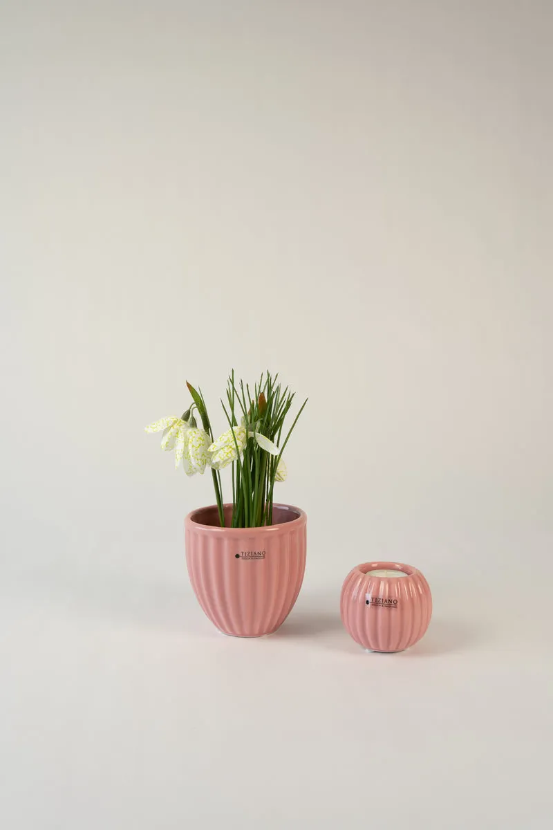 Dekoset Vogelgezwitscher rosa