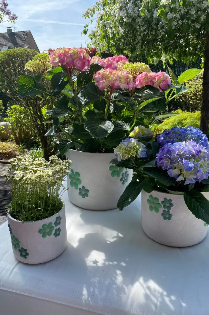 Kübel Villa rustik mit grünen Blumen