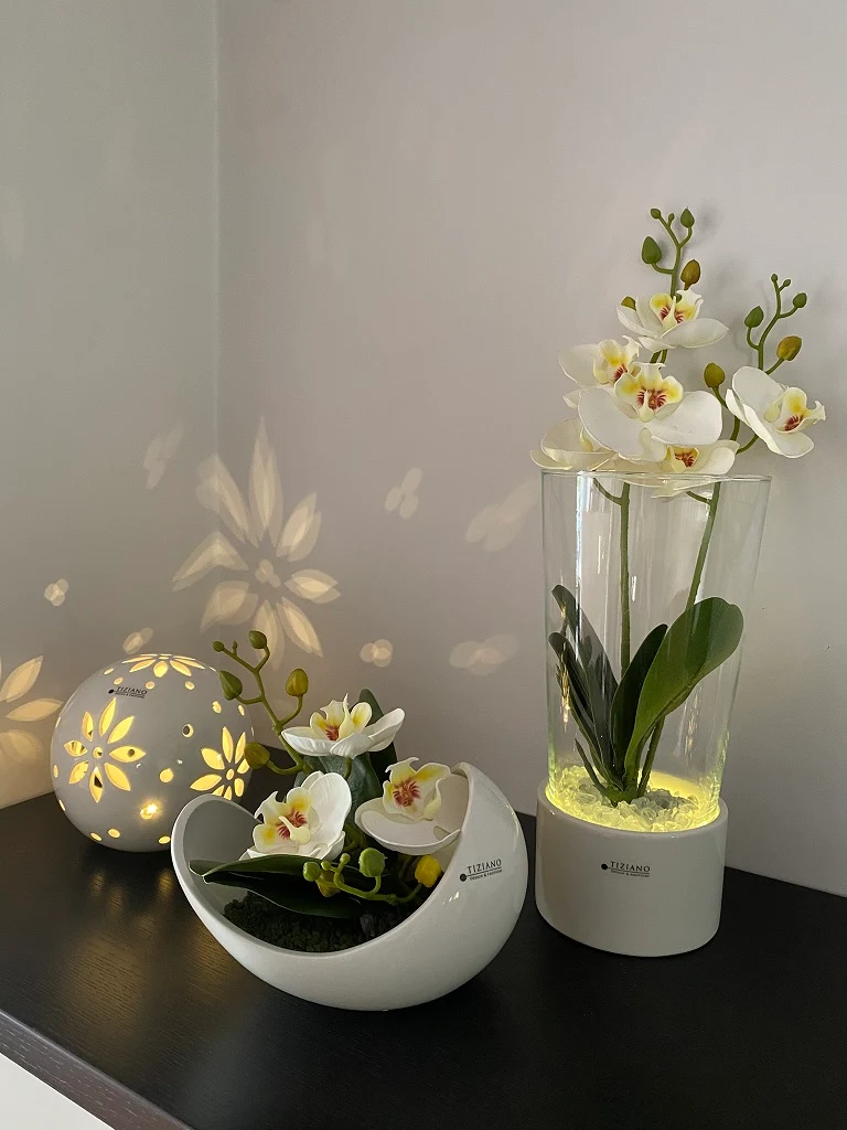 Dekoset Windlicht Laterna+Schale Gazo+Tadino LED