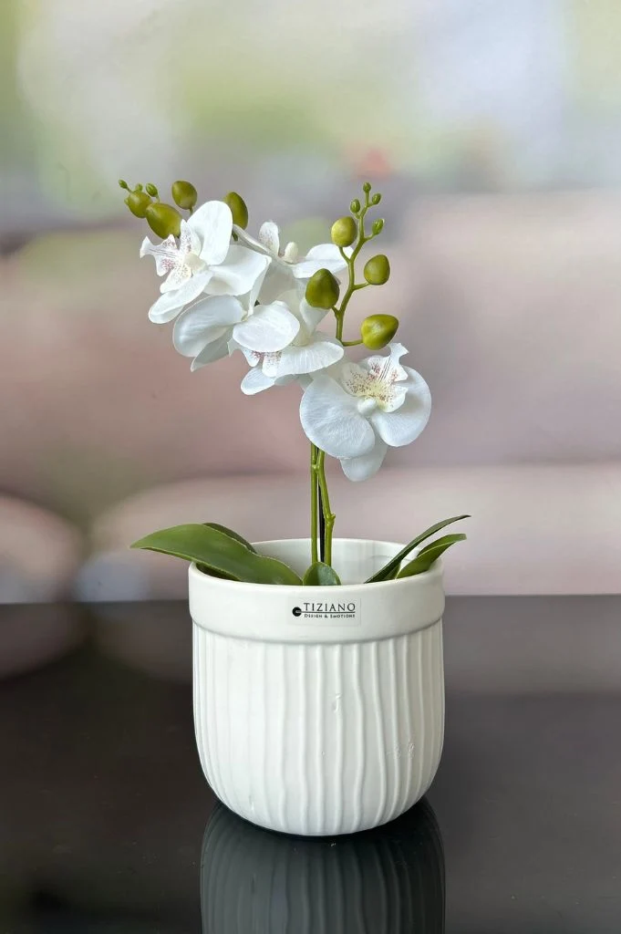 Orchideenkübel Formello in 3 Farbvarianten matt