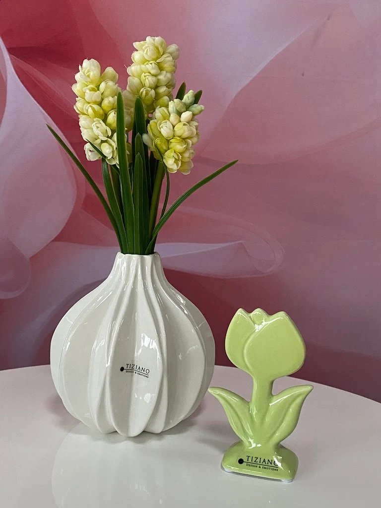 Dekoset Vase Alba mit Hyazinthe und Mesola