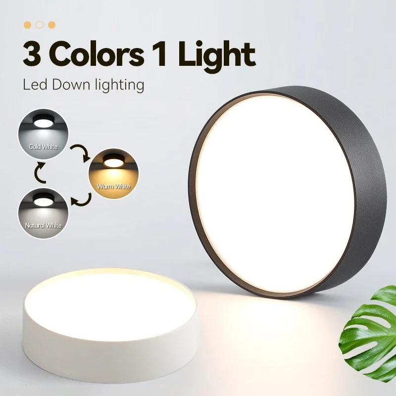 Dreifarbiges LED Aufbau-Downlight Walnuss und Weiß 5W–25W für Küche und Bad