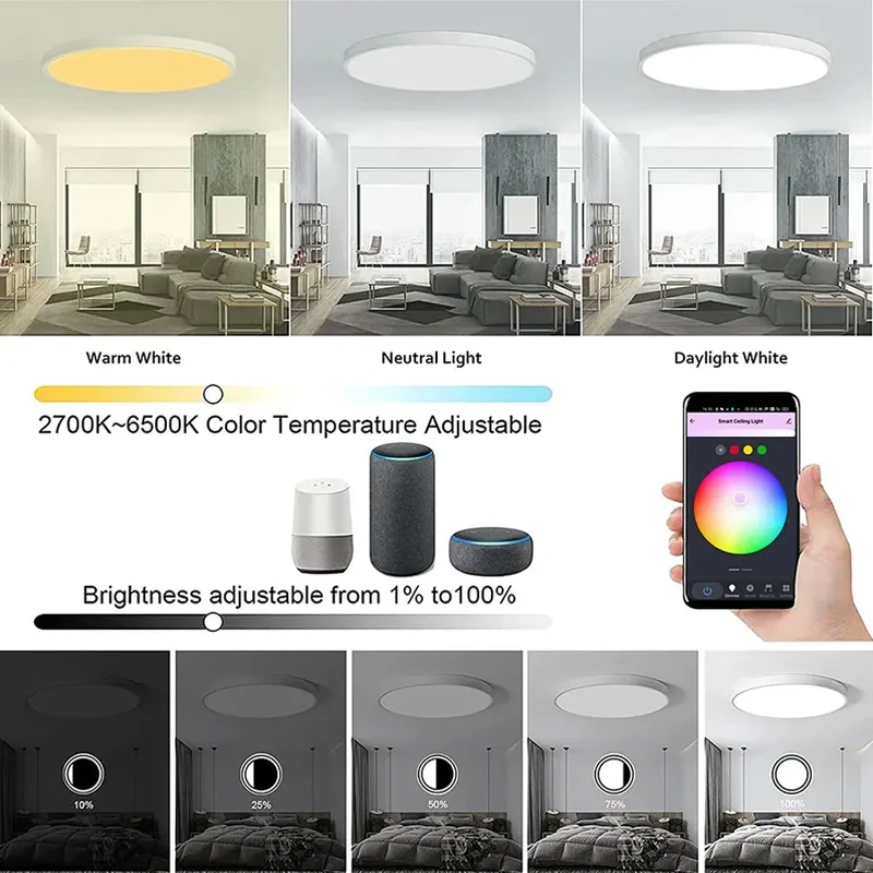 Smarte RGB LED Deckenleuchte 24W mit App und Sprachsteuerung Alexa Google