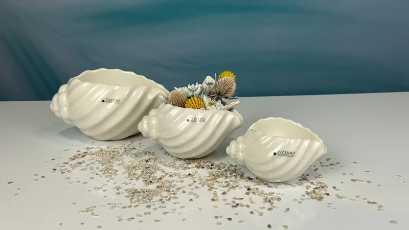 Muschelschale Capella creme-weiß