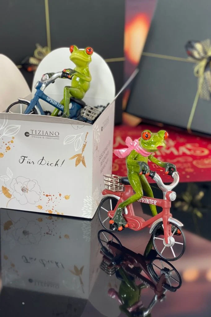 Würfelbox Für Dich mit Frosch auf Fahrrad