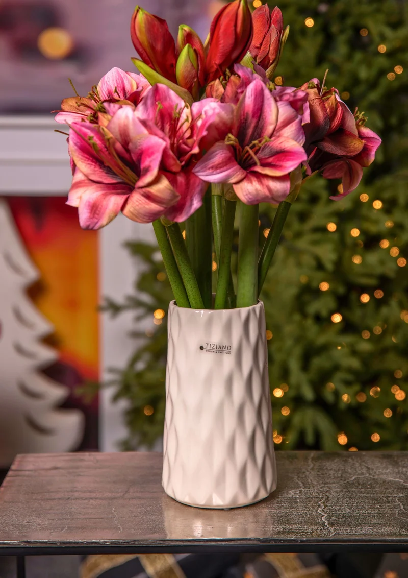 Deko Vase Acerra weiß-creme
