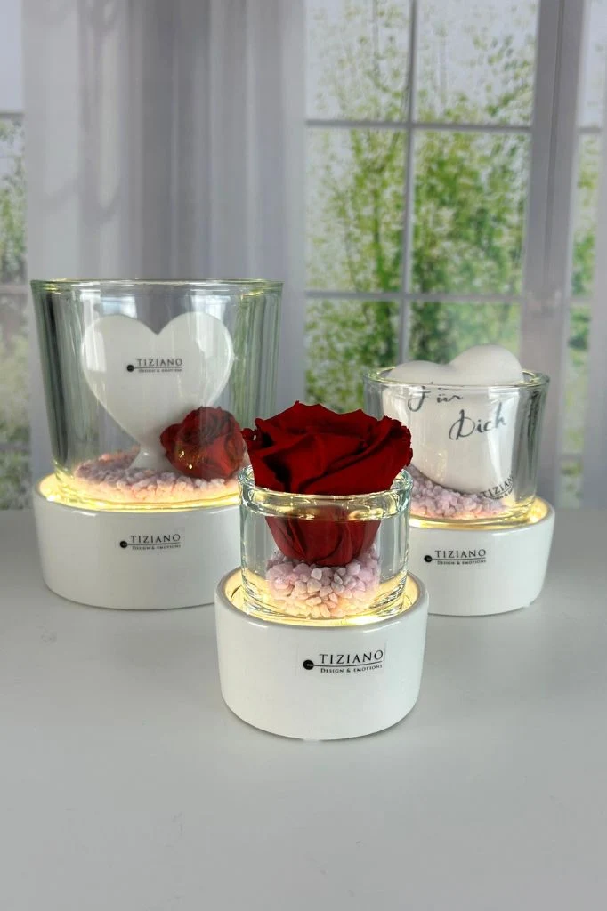 Dekoset Windlicht Castello LED mit Infinity Rose rot