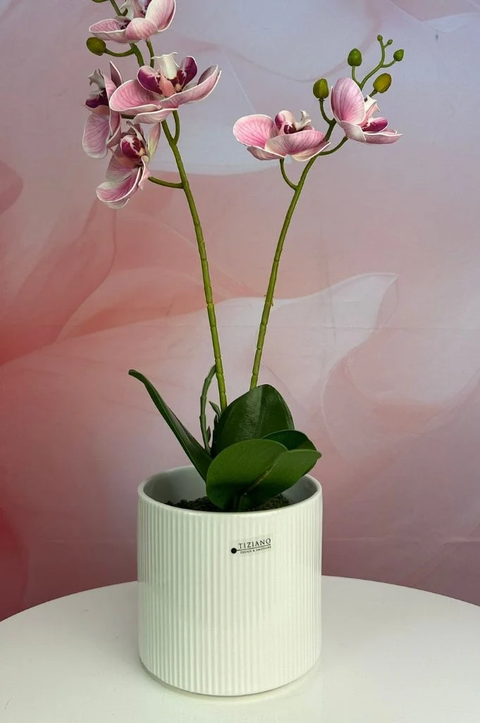 Orchideenkübel Galla 14cm creme-weiß