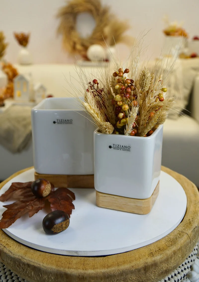 Kübel Toselli auf Holzbase creme-weiß