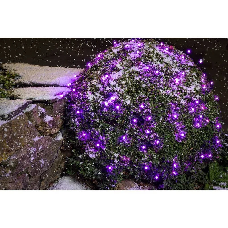 LED Globelichterkette runde Dioden 80 purpurfarbene Dioden IP44