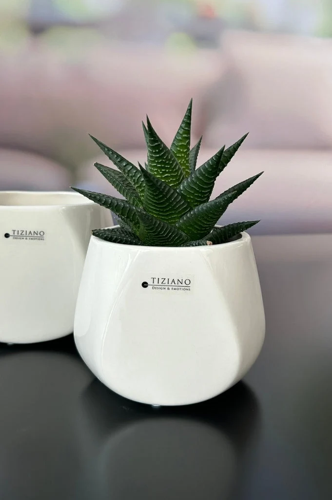 Kübel Skara creme-weiß