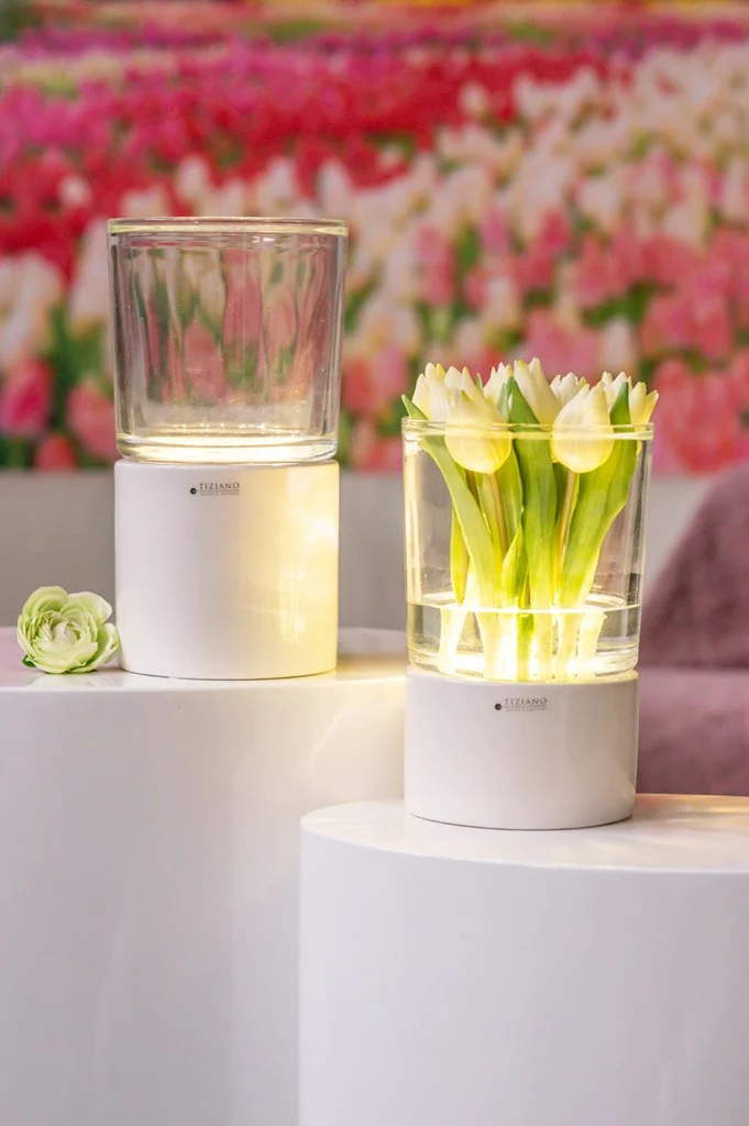Deko Windlicht Narvik LED mit Glas weiß-creme