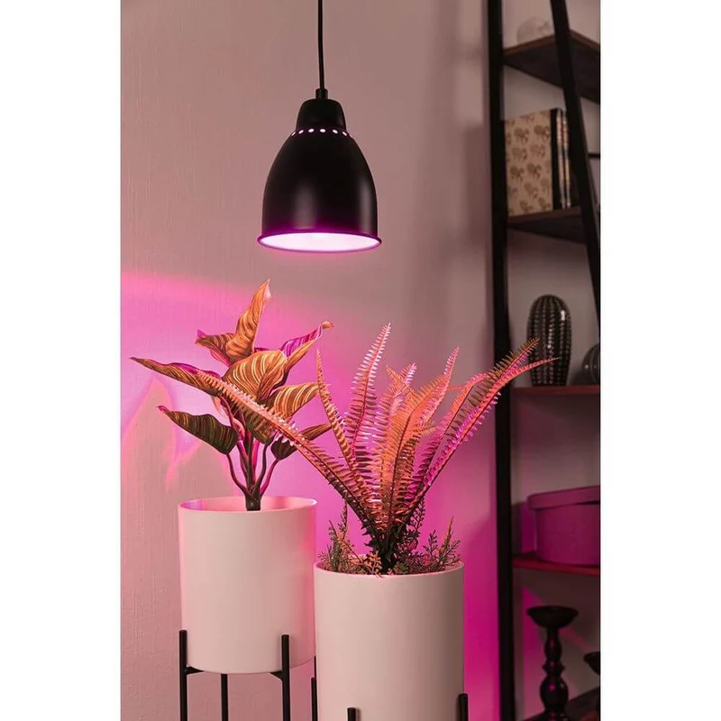 Neordic Pendelleuchte Hilla Ø 14cm Schwarz